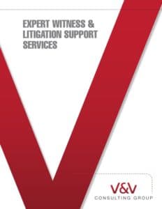 Litigation Support | Expert Witness